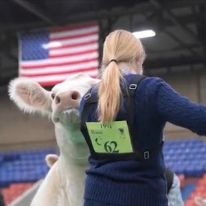 Meet your Posher, Anna